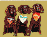 3brdogs.gif - 3501 Bytes