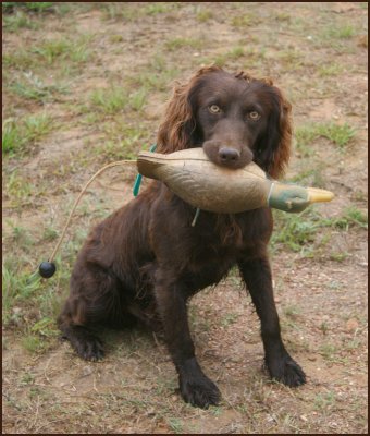 Sam22m.jpg - 38946 Bytes
