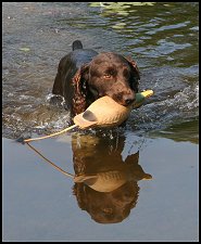 Splash_c.jpg - 13995 Bytes